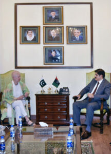 Sindh Chief Minister Syed Murad Ali Shah meets with Ambassador of European Union, Dr. Riina Kionka at CM House.