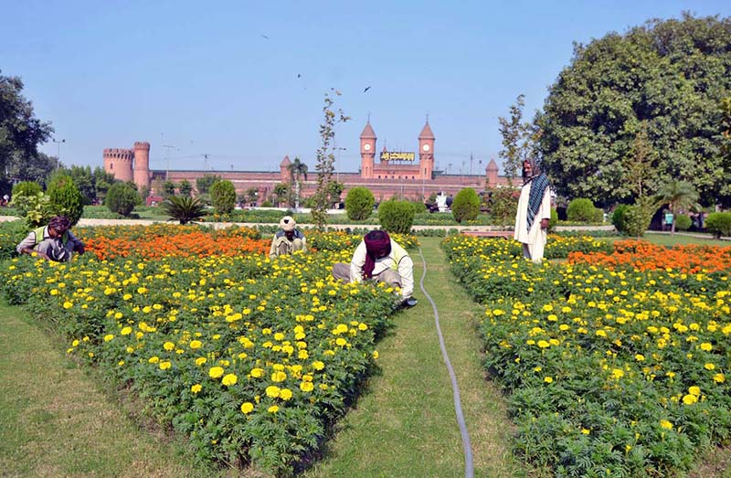 PHA workers taking out weeds from a park near Lahore Railway Station