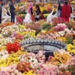 Jashan-e-Baharan’ from May