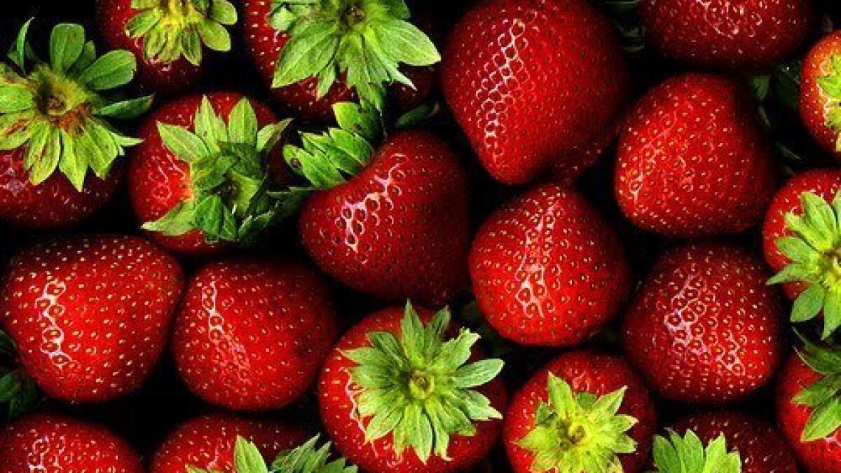 Studies show strawberries potential in kidney health