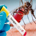 60 FIRs, Rs 258,000 fine imposed for violating dengue SOPs