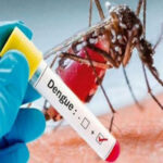 dengue