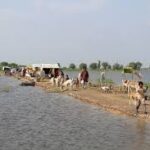 Mirpurkhas authorities acts fast to combat floods