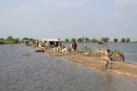 Mirpurkhas authorities acts fast to combat floods