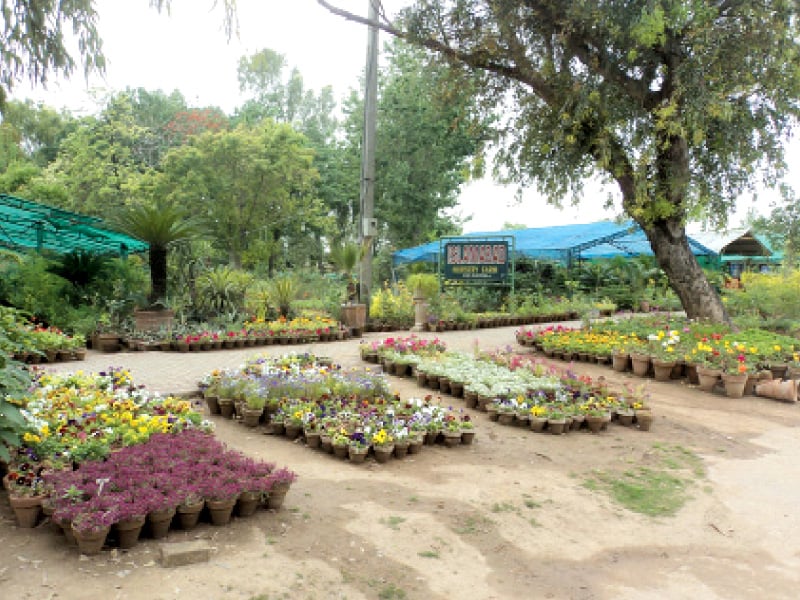 CDA chief directs to build more nurseries