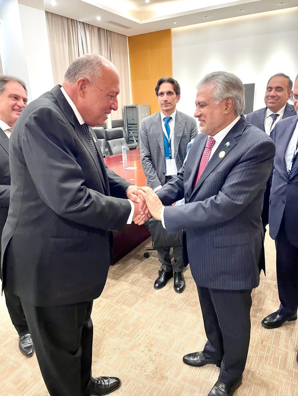 Deputy PM meets foreign minister of Egypt
