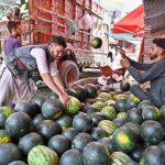 Vendors unloading watermelons from delivery truck at Vegetable and Fruit Market
