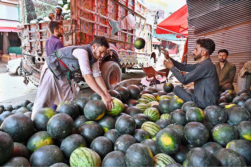 Vendors unloading watermelons from delivery truck at Vegetable and Fruit Market