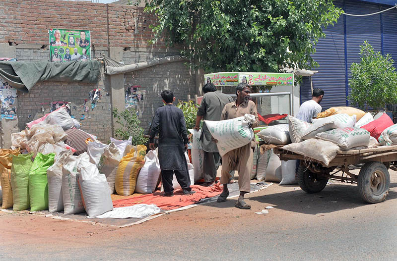 A person loading wheat bags on donkey cart after purchasing from roadside vendor.