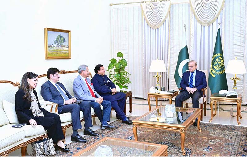 A delegation of Pakistan Peoples Party calls on Prime Minister Muhammad Shehbaz Sharif