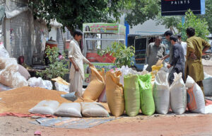 A person loading wheat bags on donkey cart after purchasing from roadside vendor.