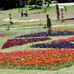 An attractive view of flowers blossoming and flourishing at F-9 Park in Federal Capital
