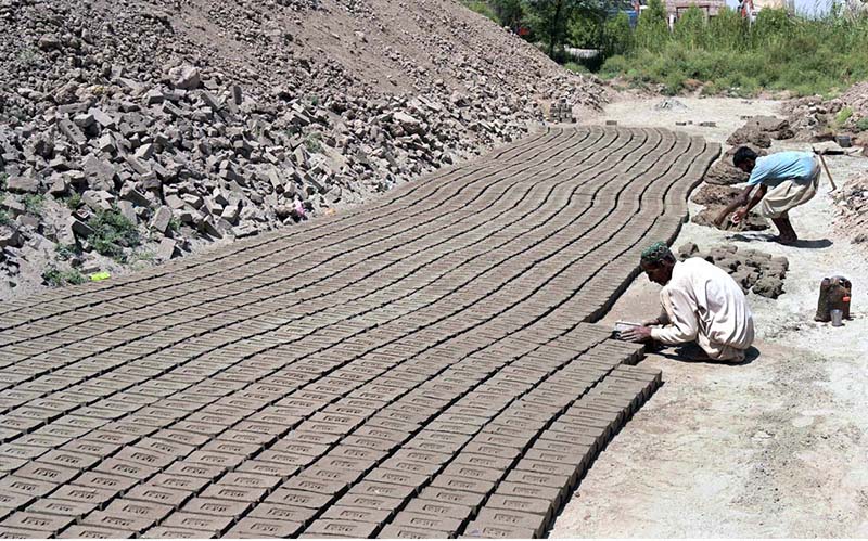 Labourers are busy in preparing bricks at local bricks kiln in Tando Hyder