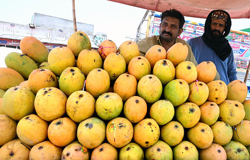 A handcart vendor displaying mangoes to attract the customer at Hali Road.