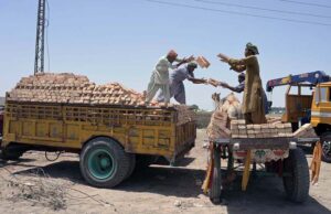 Labourers busy loading bricks on camel cart at SITE area as International Labour Day is celebrated on May 1 every year. It's a day to honour and appreciate the contributions of workers all around the world. This day recognizes the hard work and dedication of people who work in various fields to make our lives better.