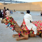 A camel holder sitting with his camel waiting for customers at dry area bank of Indus River.