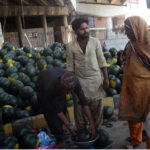 A vendor SELLING watermelons to attract the customers at his roadside setup