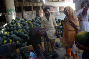 A vendor SELLING watermelons to attract the customers at his roadside setup