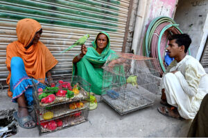 Women displaying parrots to attract the customer at Fort area