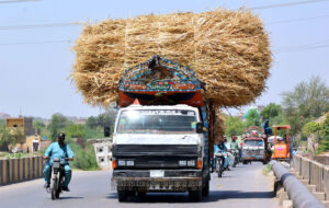 A truck holder on the way loaded with dry grass at Channel Mori Road.