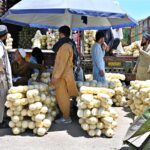 Vendors displaying melon to attract the customers at Fruit and Vegetable Market in Federal Capital