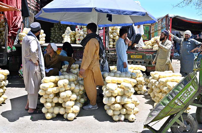 Vendors displaying melon to attract the customers at Fruit and Vegetable Market in Federal Capital