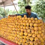 A vendor arranging and displaying mangoes on his cart to attract the customers