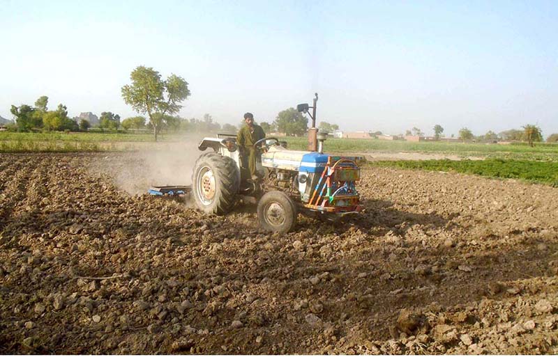 A farmer busy in preparing land for rice crop at Jhang Road with help of tractor