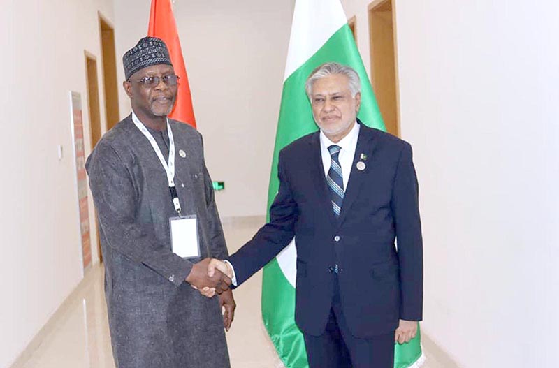 Deputy Prime Minister and Foreign Minister Senator Mohammad Ishaq Dar meets with his Nigerian counterpart Bakary Yaou Sangare on the sidelines of the 15th Islamic Summit in Banjul