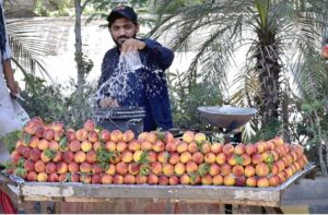 A vendor showering water on peach to keep fresh and attract the customers at his roadside setup.