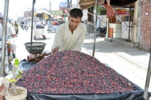 Vendors arranging and displaying seasonal fruit peach to attract the customers at roadside.