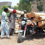 Laborers are busy loading wooden pieces on Donkey Cart in the timber market