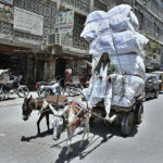 A donkey cart holder covering his head on the way to avoid heat during hot day in the city