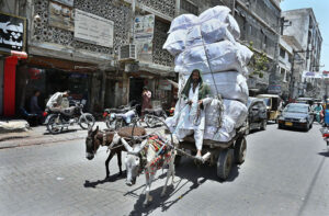 A donkey cart holder covering his head on the way to avoid heat during hot day in the city