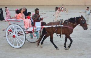A family enjoying carriage riding at Al manzar picnic point at Indus river area.