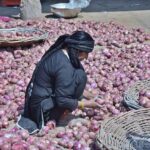A laborer woman busy in sorting good quality onions at Vegetables Market.