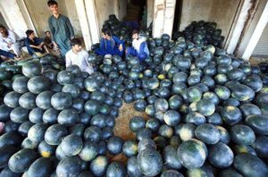 Vendors displaying watermelons to attract the customers at Fruit Market.