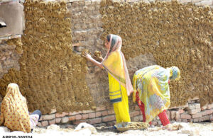 Girls busy in preparing dung cakes to be used for burning purposes.