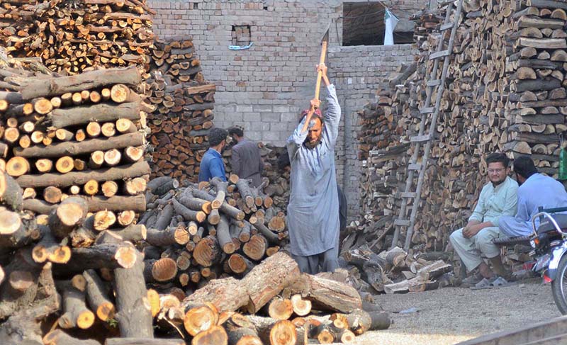 A worker busy in cutting wood into pieces for selling purposes at his workplace.