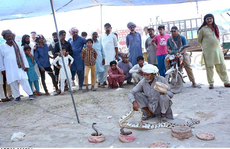 A juggler with snakes showing tricks to earn livelihood.