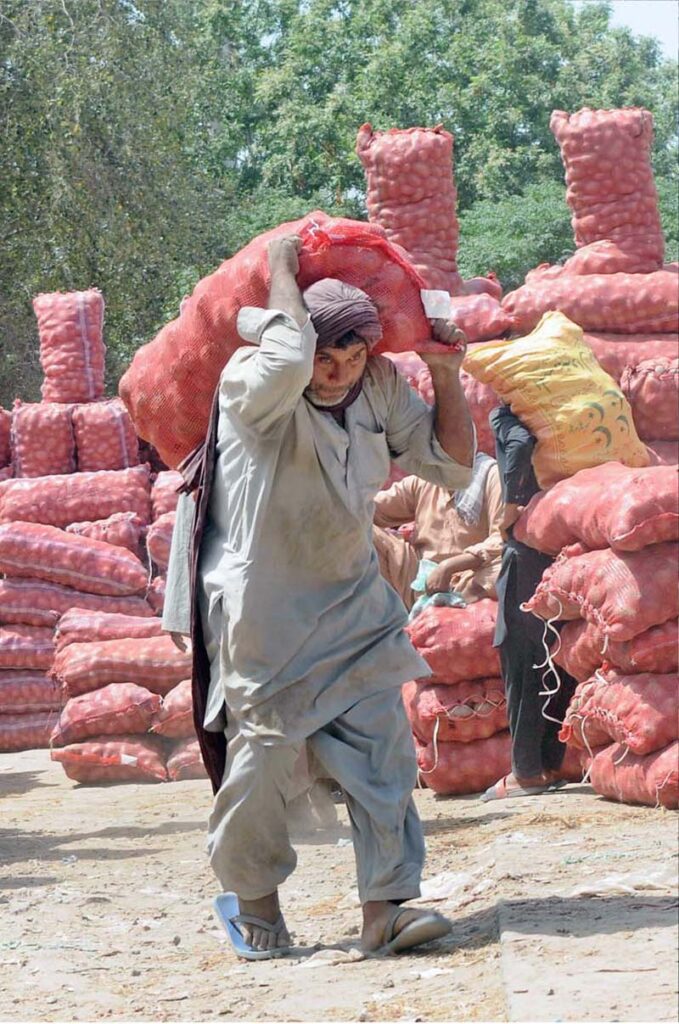 Labourers busy in unloading sacks of vegetables at vegetable market as International Labour Day is celebrated on May 1 every year. It’s a day to honor and appreciate the contributions of workers all around the world. This day recognizes the hard work and dedication of people who work in various fields to make our lives better.