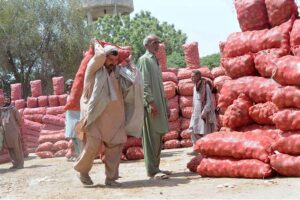 Labourers busy in unloading sacks of vegetables at vegetable market as International Labour Day is celebrated on May 1 every year. It’s a day to honor and appreciate the contributions of workers all around the world. This day recognizes the hard work and dedication of people who work in various fields to make our lives better.