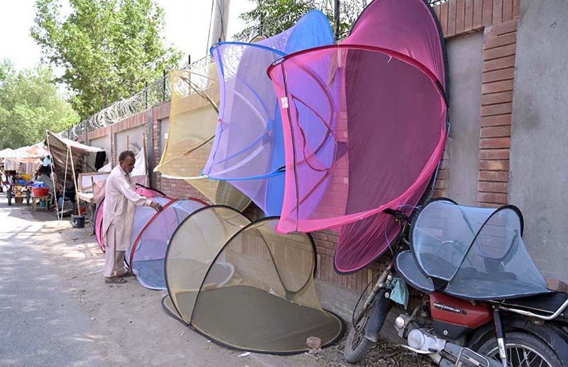 A vendor arranging and displaying mosquito nets at City Road to attract the customers