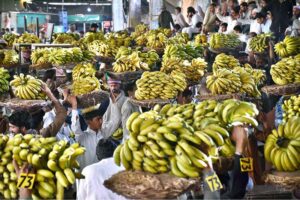Labourers carrying baskets of bananas on their head during auctions as shopkeepers participating in bidding of fruit (Banana) at Fruit Market in the Provincial Capital