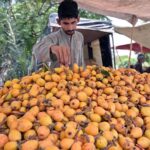 A vendor displaying loquat on his cart to attract the cusotmers