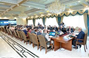 A delegation of a German N.G.O. Global Bridges, Berlin calls on Prime Minister Muhammad Shehbaz Sharif.