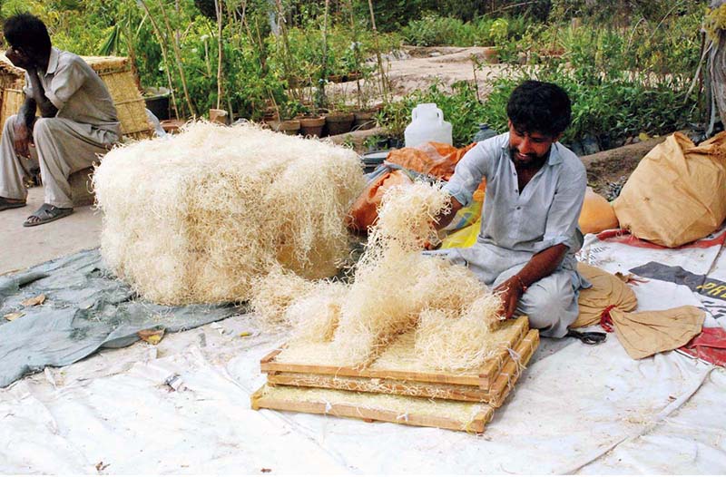 - Workers is busy filling husk in frames of air coolers at his workplace.