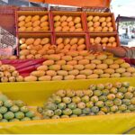 A vendor sets the king of fruits "Mangoes" on the fresh arrival to attract the customers at his pushcart setup.