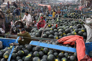Traders and farmers sit on trucks loaded with watermelon as they bargain with dealers during auction as shopkeepers participating in bidding of fruit (Watermelon) at a fruit market in the Provincial Capital