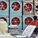 Young worker busy in preparing “Khas” for air-coolers at his roadside workplace.